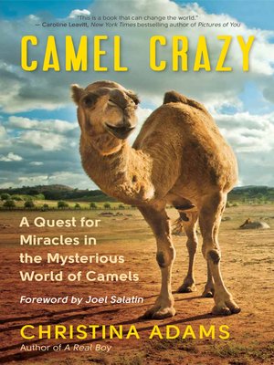 cover image of Camel Crazy
